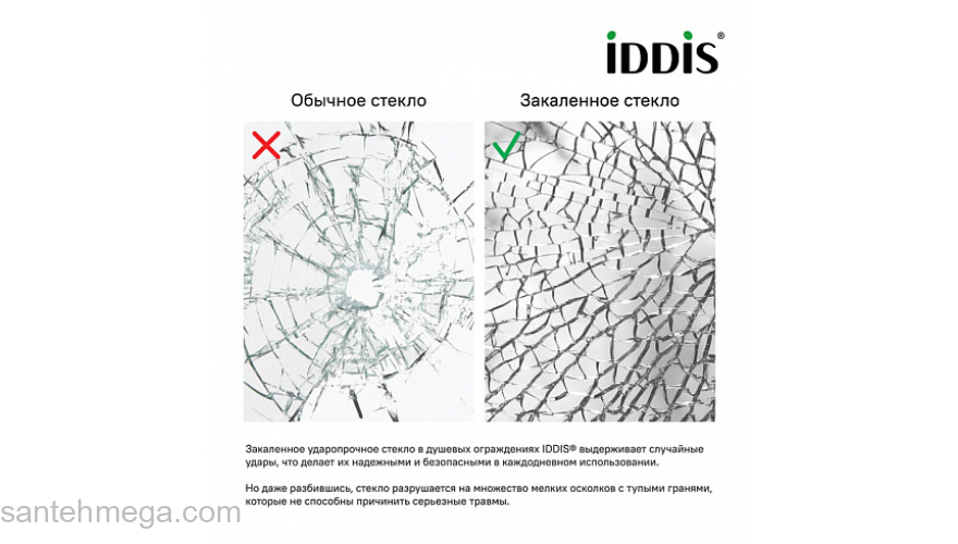 Душевая дверь распашная IDDIS Ray 100х195 RAY6CP0i69. Фото