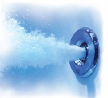 Гидромассаж ТРИТОН Лилия. Фото