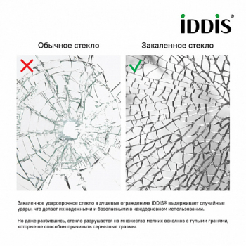 Душевая дверь распашная IDDIS Ray 120х195 RAY6CP2i69. Фото