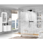 Душевая перегородка CEZARES Liberta LIBERTA-L-2-115-C-NERO